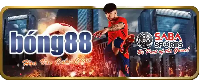 Cá độ thể thao 668dg